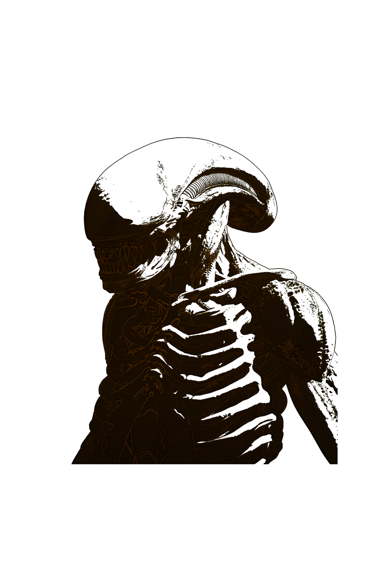 XX121