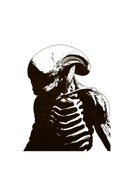 XX121