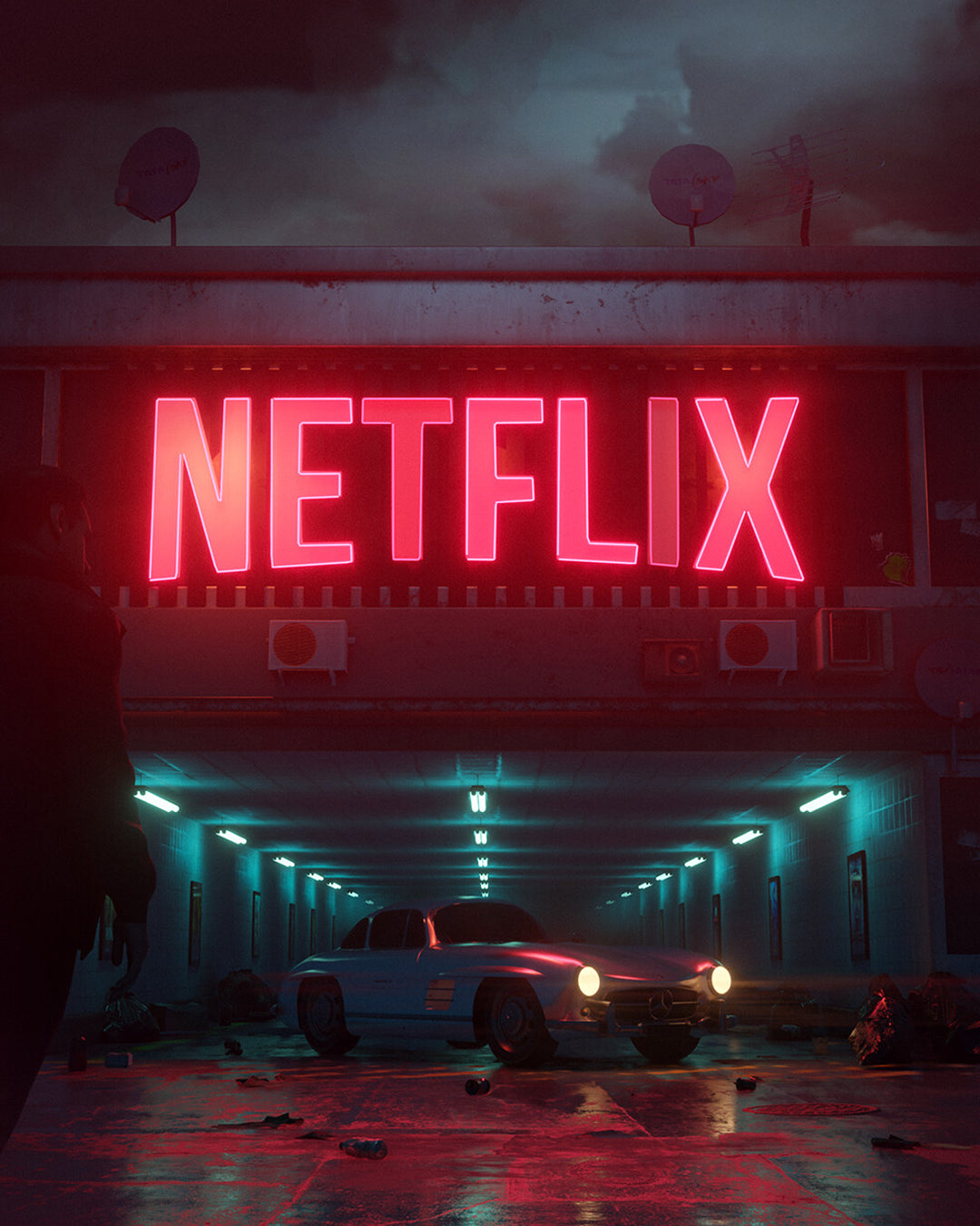 Netflix Banner